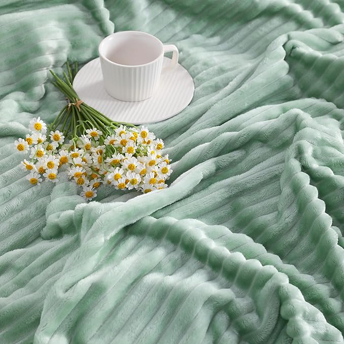 NTBAY Plush Flannel Twin Bed Blanket, 60X80 Inches Soft and Warm Lightweight Blanket with Striped Texture Bed Blanket for Couch Sofa Bed All Seasons, 60"x80", Mint