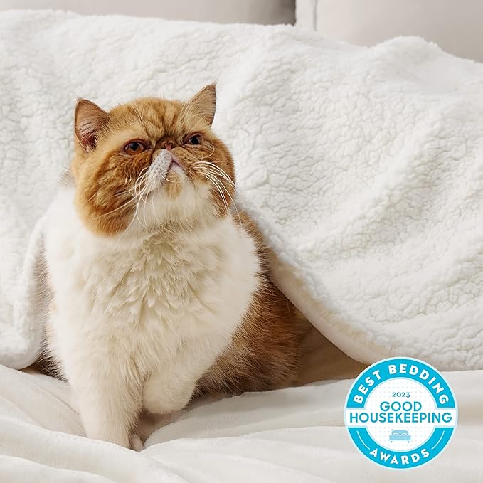 Bedsure GentleSoft Sherpa Fleece Twin Size Blanket for Couch, Non-Heated, Thick and Warm Throw for Women and Men, Soft Fuzzy Plush Twin Blanket for Spring, Cream, 60x80 Inches