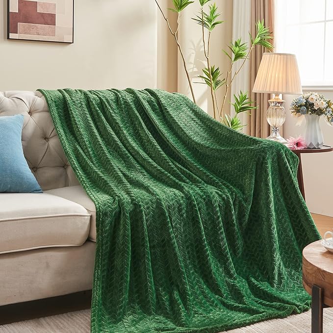 inhand Fleece Queen Blanket for Bed, Super Soft Flannel Cozy Queen Bed Blanket for Adults, Washable Lightweight Fuzzy Bed Blanket for Office, Warm Plush Blankets for All Season (90"×90", Green)
