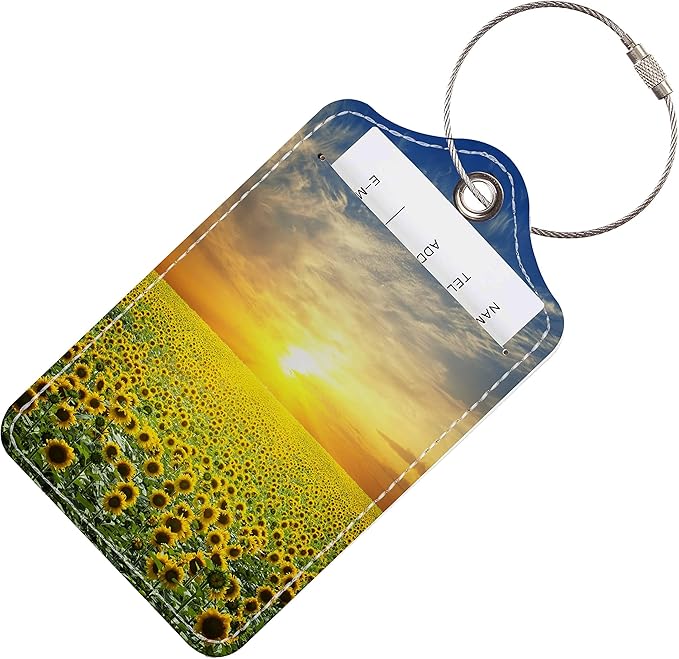 Luggage Tags for Suitcases, 2 Pack Cute PU Leather Suitcase Tag Identifiers TSA Approved with Stainless Steel Loop and Address Card for Baggage Tag for Cruise Airport Travel Essentials by Chelmon