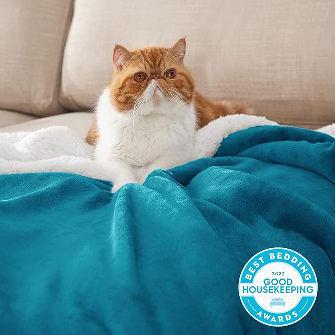 Bedsure GentleSoft Sherpa Fleece Blankets King Size for Bed, Non-Heated, Thick and Warm Throw for Women and Men, Soft Fuzzy Plush King Blanket for Winter, Teal, 108x90 Inches