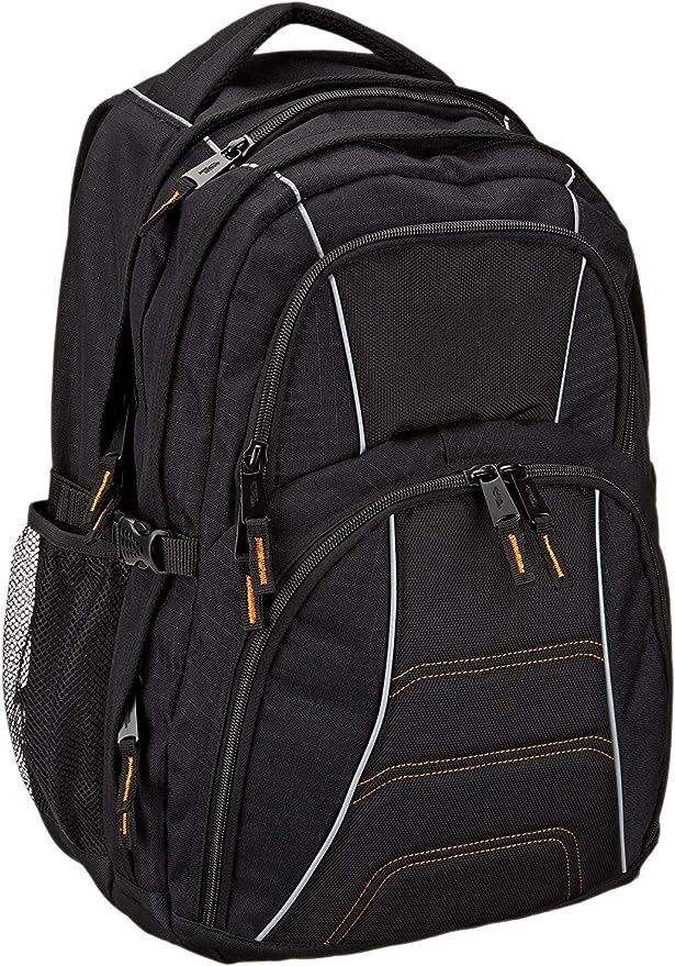 Amazon Basics Padded Laptop Backpack with Water Bottle Pockets, Travel Work Bag with Compartments, Fits Up to 17-Inch Laptops, Black