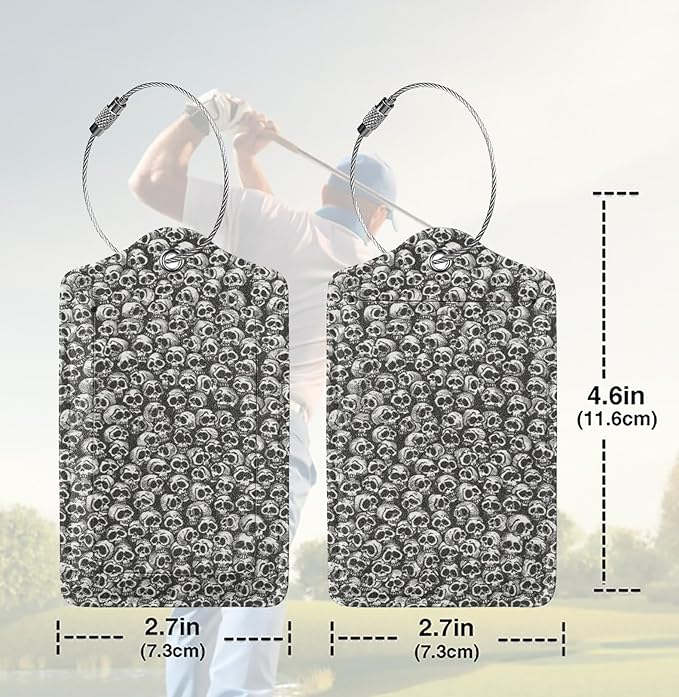 2 Pack Luggage Tags for suitcases Skull Skeleton TSA Approved Label Luggage Tag Baggage Tag Leather Stainless Steel Loop Label Tag for Men Women Travel Bag Suitcase