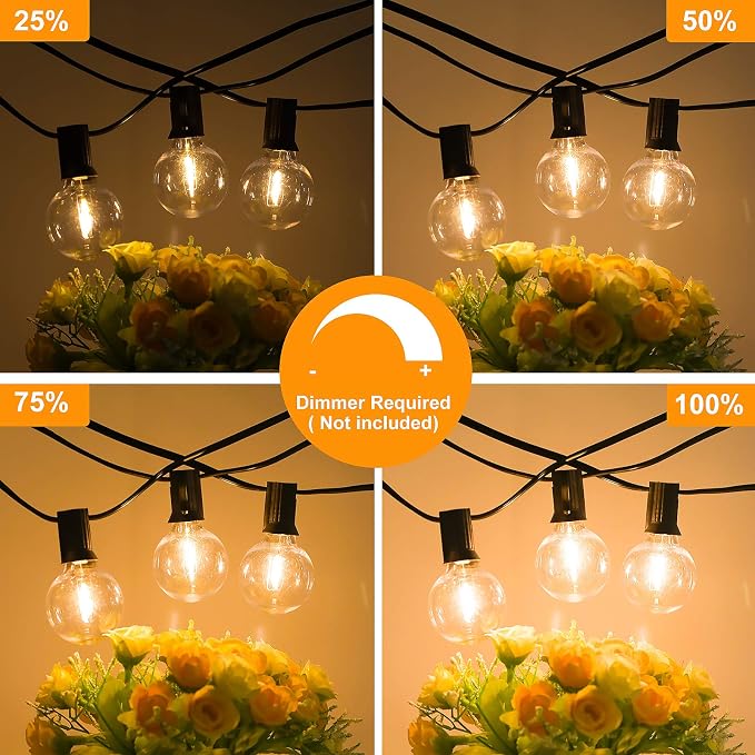 60FT Outdoor G40 LED Globe String Lights Dimmable | Waterproof Shatterproof Light Strings with 30 Bulbs Connectable Commercial Hanging Lights for Patio Backyard Balcony Party