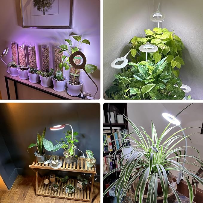 Grow Lights for Indoor Plant Full Spectrum, Clip On Plant Light with Remote | Adjustable Gooseneck, 4/8/12H Timer, 3 Color Modes, 10 Dimmable Brightness, Plant Lamp with Remote for Home Seedling