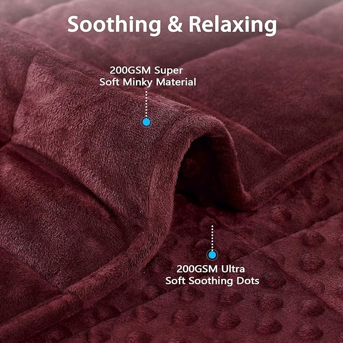 L'AGRATY Weighted Blanket - 50"x60" 10lbs Minky Dots Heavy Blanket with Glass Beads Soft Breathable for All-Season Summer Fall Winter Thick Comfort for Sleeping