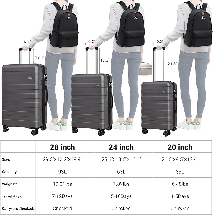Zebra Luggage Sets 5 Piece, Lightweight Hardside Business Travel Suitcase Set with TSA Lock, Bonus Travel Backpack & Makeup Bag, 20/24/28 inch, Grey