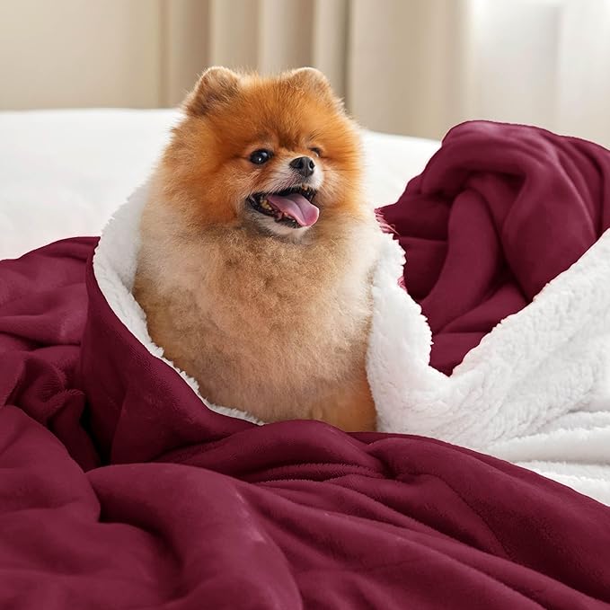 Bedsure GentleSoft Sherpa Fleece Blankets King Size for Bed, Non-Heated, Thick and Warm Throw for Girls and Women, Soft Fuzzy Plush King Blanket for Winter, Burgundy, 108x90 Inches