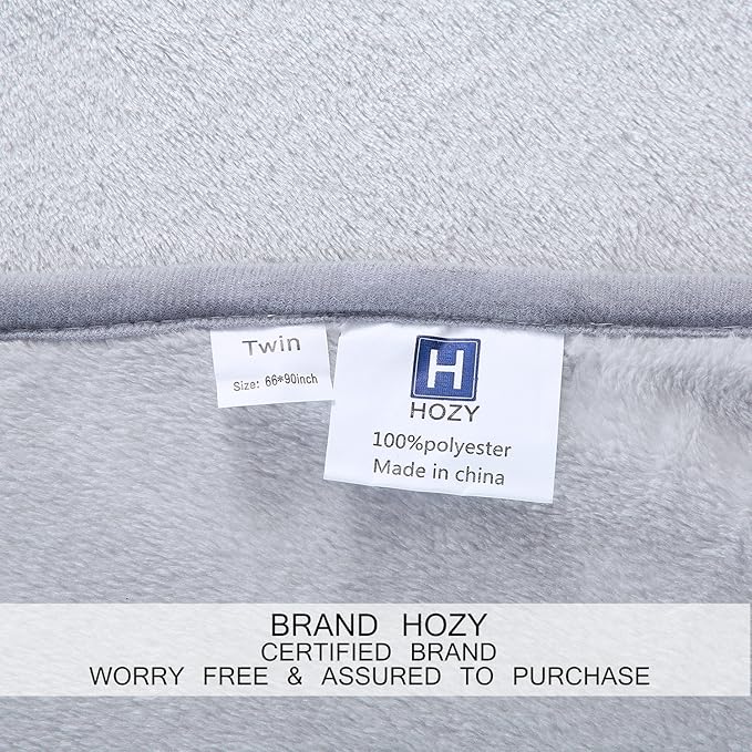 Soft Twin Size Blanket All Season Warm Fuzzy Microplush Lightweight Thermal Fleece Blankets for Couch Bed Sofa,66x90 Inches,Gray