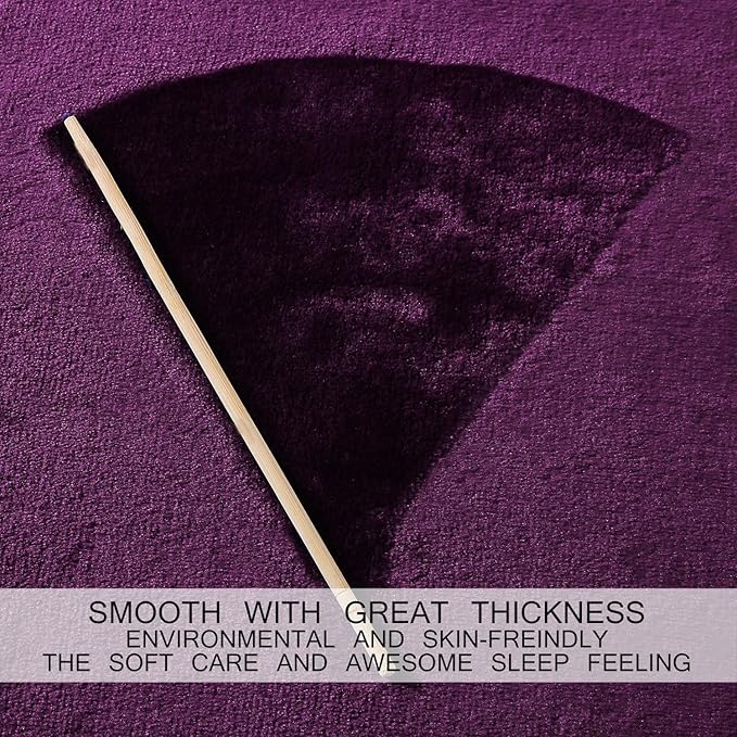 HOZY Soft Blanket Twin Size Fleece Warm Fuzzy Throw Blankets for The Bed Sofa Lightweight 350GSM Purple 66"*90"