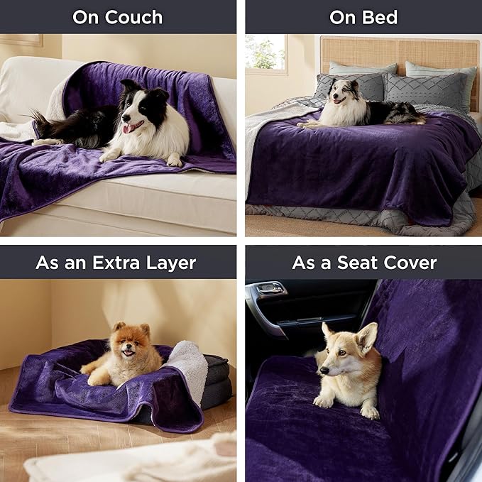 Bedsure Waterproof Dog Blankets for Small Dogs - Small Cat Blanket Washable for Couch Protection, Sherpa Fleece Puppy Blanket, Soft Plush Reversible Throw Furniture Protector, 25"X35", Eggplant