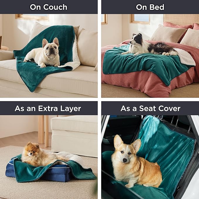 Bedsure Waterproof Blanket for Bed - Sherpa Fleece Waterproof Dog Blankets for Large Dogs, Pet Blankets for Bed/Couch/Dog Crate, Soft Plush Reversible Furniture Protector, Twin Size, 80"x60", Green