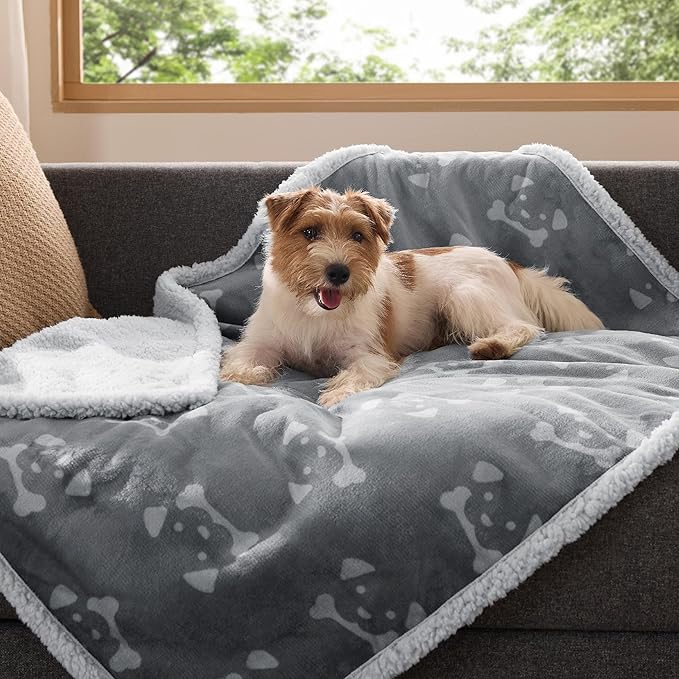 Bedsure Waterproof Dog Blankets for Medium Dogs Washable - Soft Print Sherpa Fleece Puppy Cat Blanket, Cozy Plush Reversible Throw Furniture Protector for Pet Kitten Doggy, 30"X40", Anchor Gray