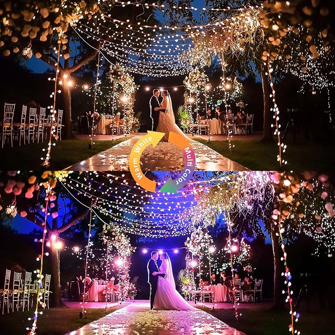 Ariceleo 1 Pack Warm White & Multi-Color Battery Operated String Lights, 5M/16.4ft. 50 LEDs Remote Control Timer 12 Modes Optional Twinkle Battery Powered Fairy Lights Sliver Wire Firefly Lights