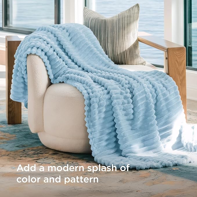 Bedsure GentleSoft Blue Fleece Blanket for Couch - Cozy Soft Blankets for Women, Cute Small Throws for Girls, Light Blue, 60x80 Inches