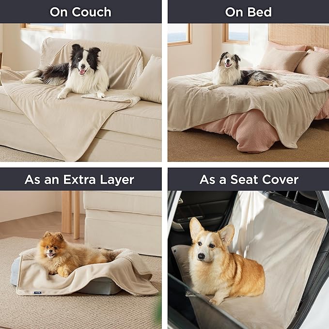 Bedsure Cat Blanket for Indoor Cats - Waterproof Calming Cat Blankets for Couch Protection, Sherpa Fleece Pet Blanket, Soft Plush Reversible Throw Furniture Protector, 50"x40", Cream