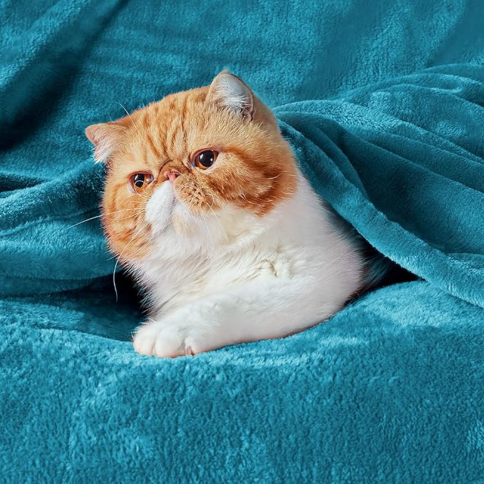 Bedsure GentleSoft Bedding Fleece Blanket for Girls and Boys - Soft Cozy Cute Small Throw Blankets for Travel, 43x55 Inches,Teal Blue