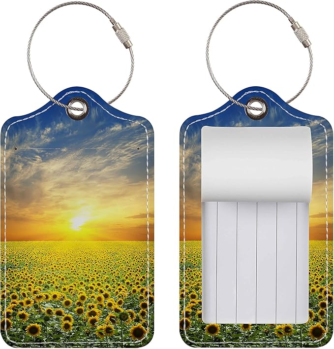 Luggage Tags for Suitcases, 2 Pack Cute PU Leather Suitcase Tag Identifiers TSA Approved with Stainless Steel Loop and Address Card for Baggage Tag for Cruise Airport Travel Essentials by Chelmon