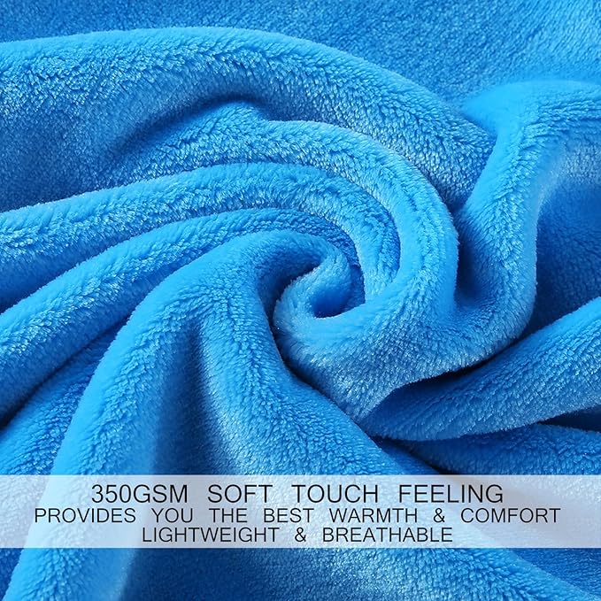 HOZY Soft Blanket Queen Size Fleece Warm Fuzzy Throw Blankets for The Bed Sofa Lightweight 350GSM Sky Blue 90"*90"