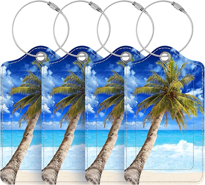 Luggage Tags for Suitcases, 4 Pack Cute PU Leather Suitcase Tag Identifiers TSA Approved with Stainless Steel Loop and Address Card for Baggage Tag for Cruise Airport Travel Essentials by Chelmon