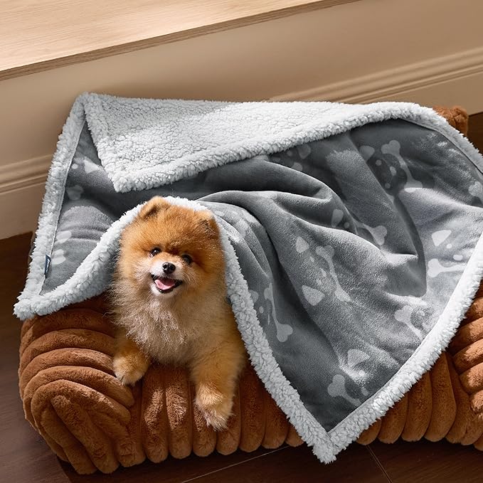Bedsure Waterproof Dog Blankets for Small Dogs - Soft Print Sherpa Fleece Puppy Cat Blanket Washable, Cozy Plush Reversible Throw Furniture Protector for Pet Kitten Doggy, 25"X35", Anchor Gray