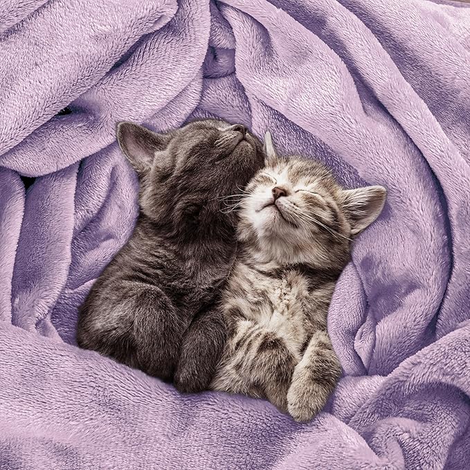 Utopia Bedding Fleece Blanket King Size Lilac 300GSM Luxury Fuzzy Soft Anti-Static Microfiber Bed Blanket (90x102 Inch)